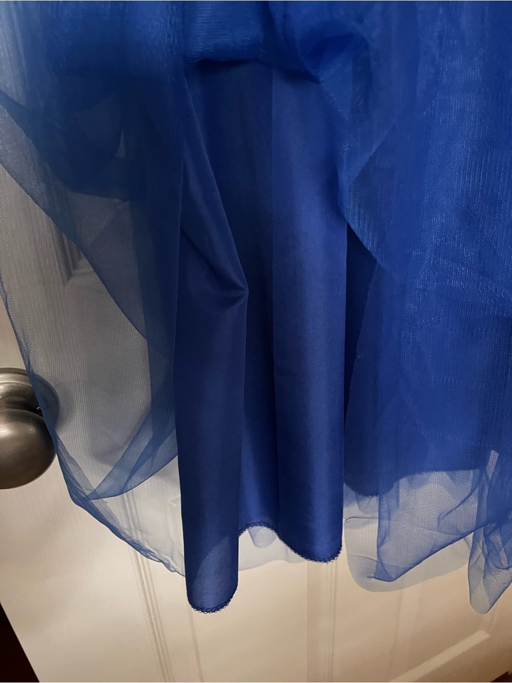 Royal Blue Sheer Maxi Tulle Skirt - Picture 2 of 2